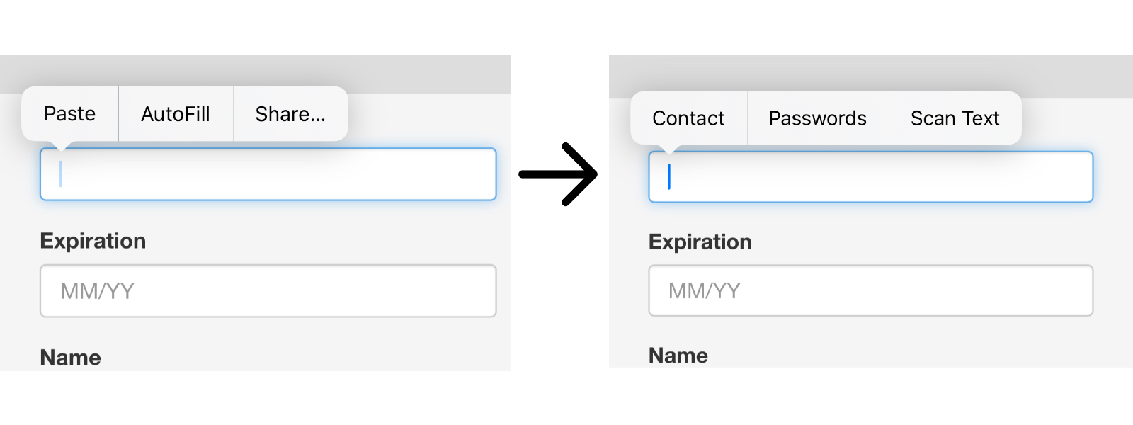Navigating through the AutoFill -> Passwords options on iOS.